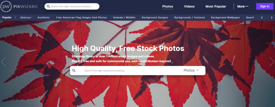 PikWizard adalah salah satu website gambar gratis