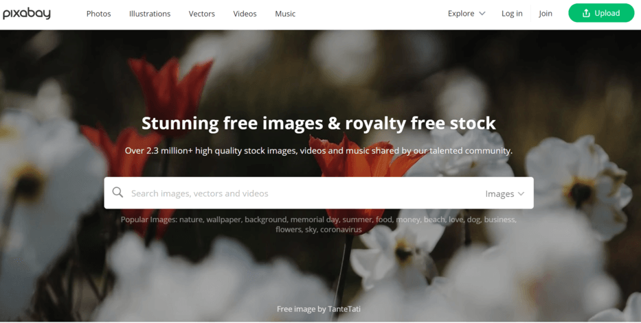 pixabay adalah salah satu website gambar gratis